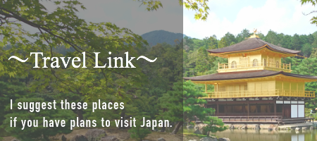 travel link